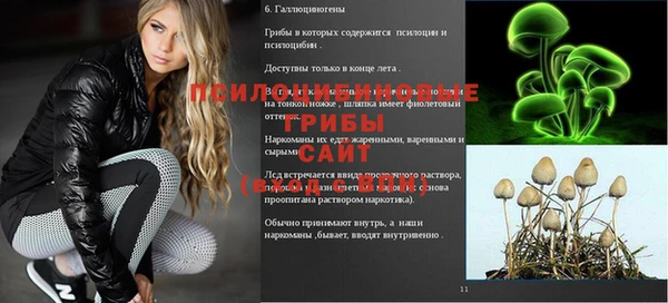 мяу мяу мука Алексин
