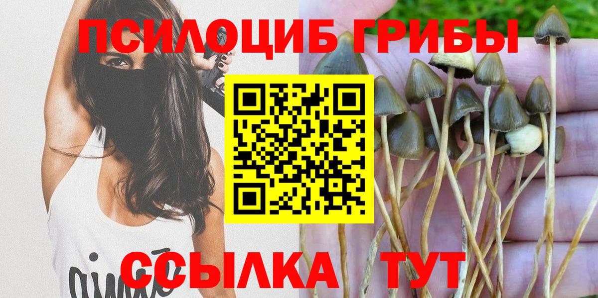 Псилоцибиновые грибы мухоморы  Псилоцибиновые грибы мухоморы  Вход с VPN  Санкт-Петербург 