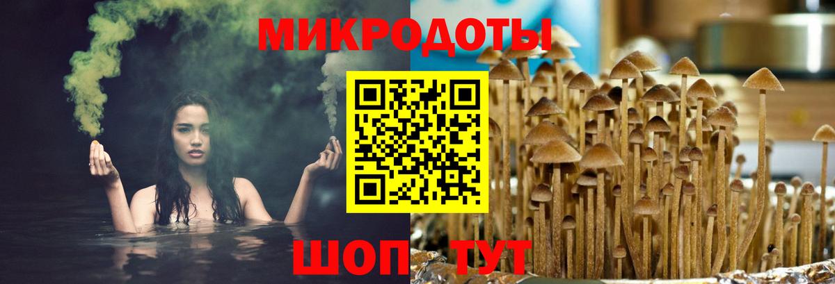 Галлюциногенные грибы Cubensis Санкт-Петербург