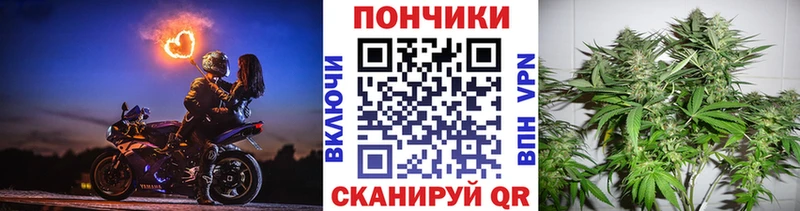 Каннабис VHQ  купить   Санкт-Петербург 